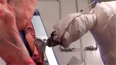  肉类切割技术工厂 现代肉类 加工 食品线工