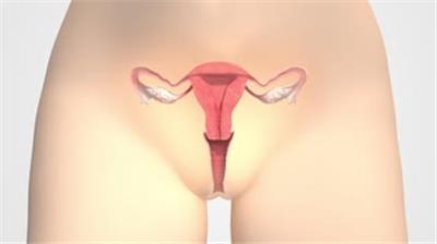  子宫阴道杀菌清洗女性生殖系统健康