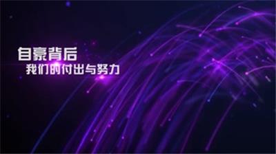  4k紫色大气企业年会开场视频pr模板