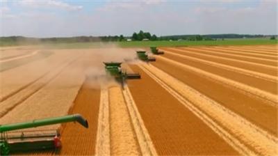  小麦粮食收割机械化