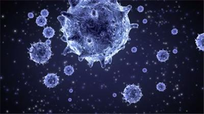  冠状病毒 病毒 细胞 埃博拉