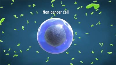  正常细胞和癌细胞对比