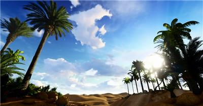  延时摄影埃及沙漠绿洲中的棕榈树
